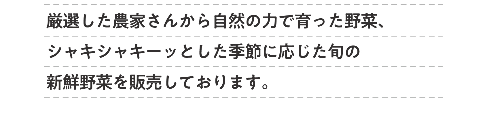 農家さんから自然の力で育った野菜を